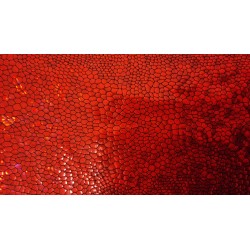 Lycra® Hologramm bi-elastisch